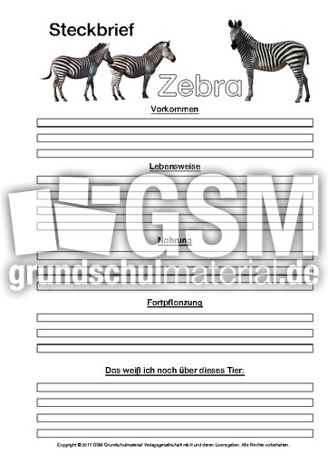 Zebra-Steckbriefvorlage-sw-3.pdf
